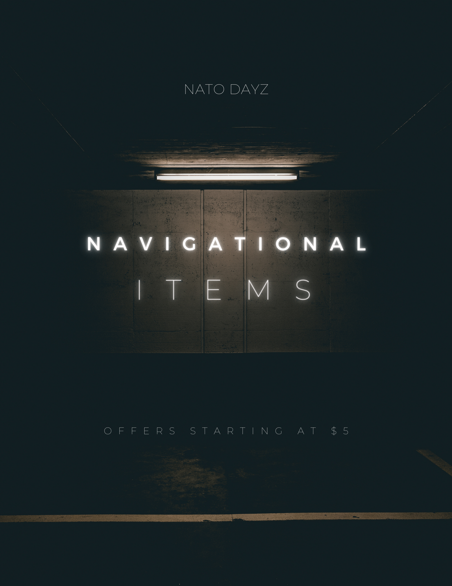 Navigational Items