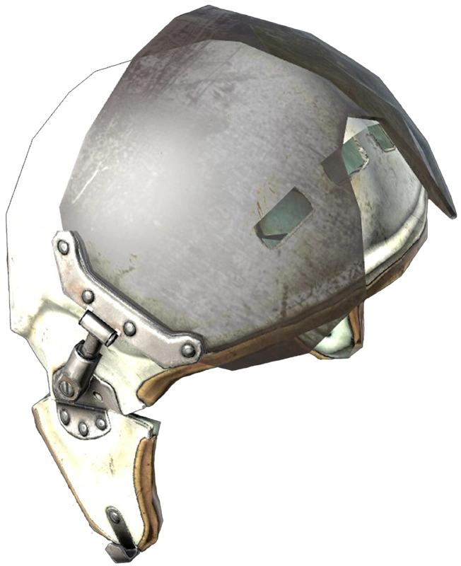 Flight Helmet