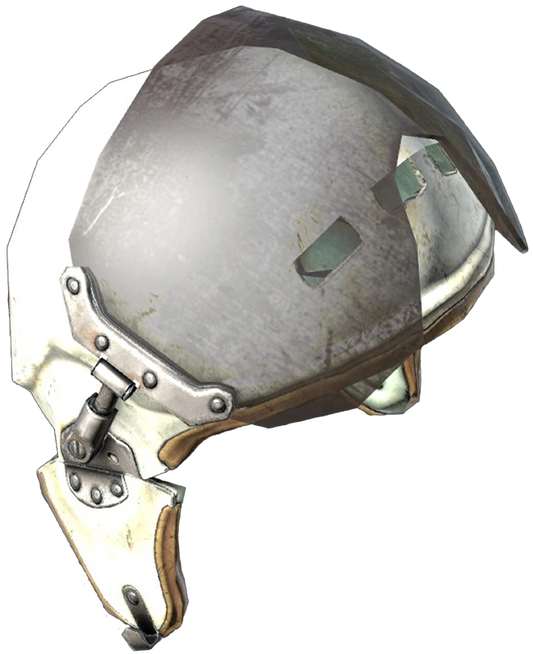 Flight Helmet